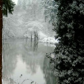 local pond in snow