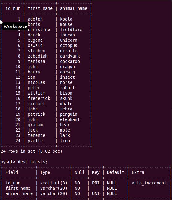 database info database info